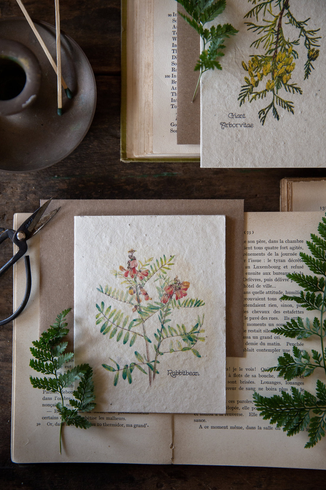 Plantable Cards That Will Grow || Wildflower Seed Paper || Supports Women In Nepal || Rabbitbean