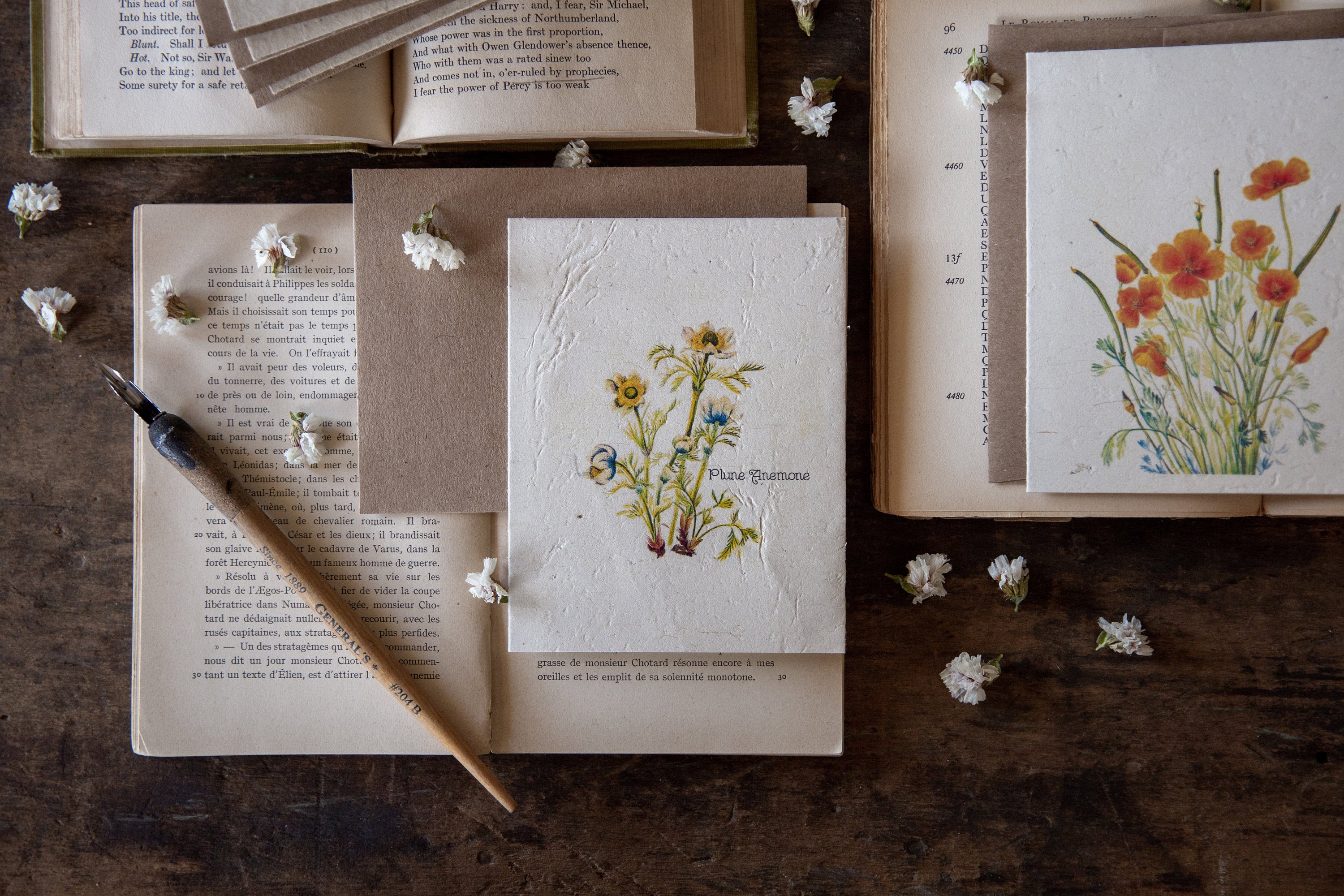 Plantable Vintage Botanical Cards || Wildflower Seed Paper || Zero Waste || Plune Anemone || Supports Women in Nepal || Eco-friendly