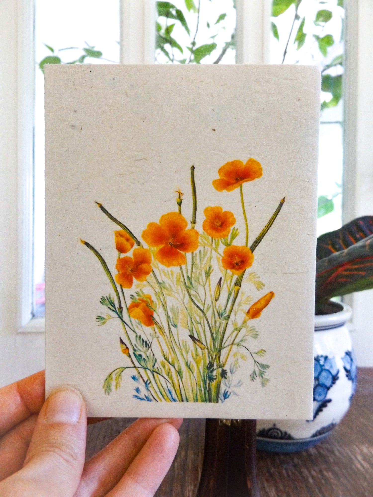 Plantable Vintage Cards || 6 pack Wildflower Seed Paper || Beyond Zero Waste || Mexican Poppy || Eco-friendly || Supports Women