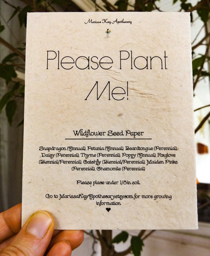 Seed Paper Cards || Blank Or Personalized Insert || Hand Drawn || Zero Waste || Supports Women || Eco-friendly