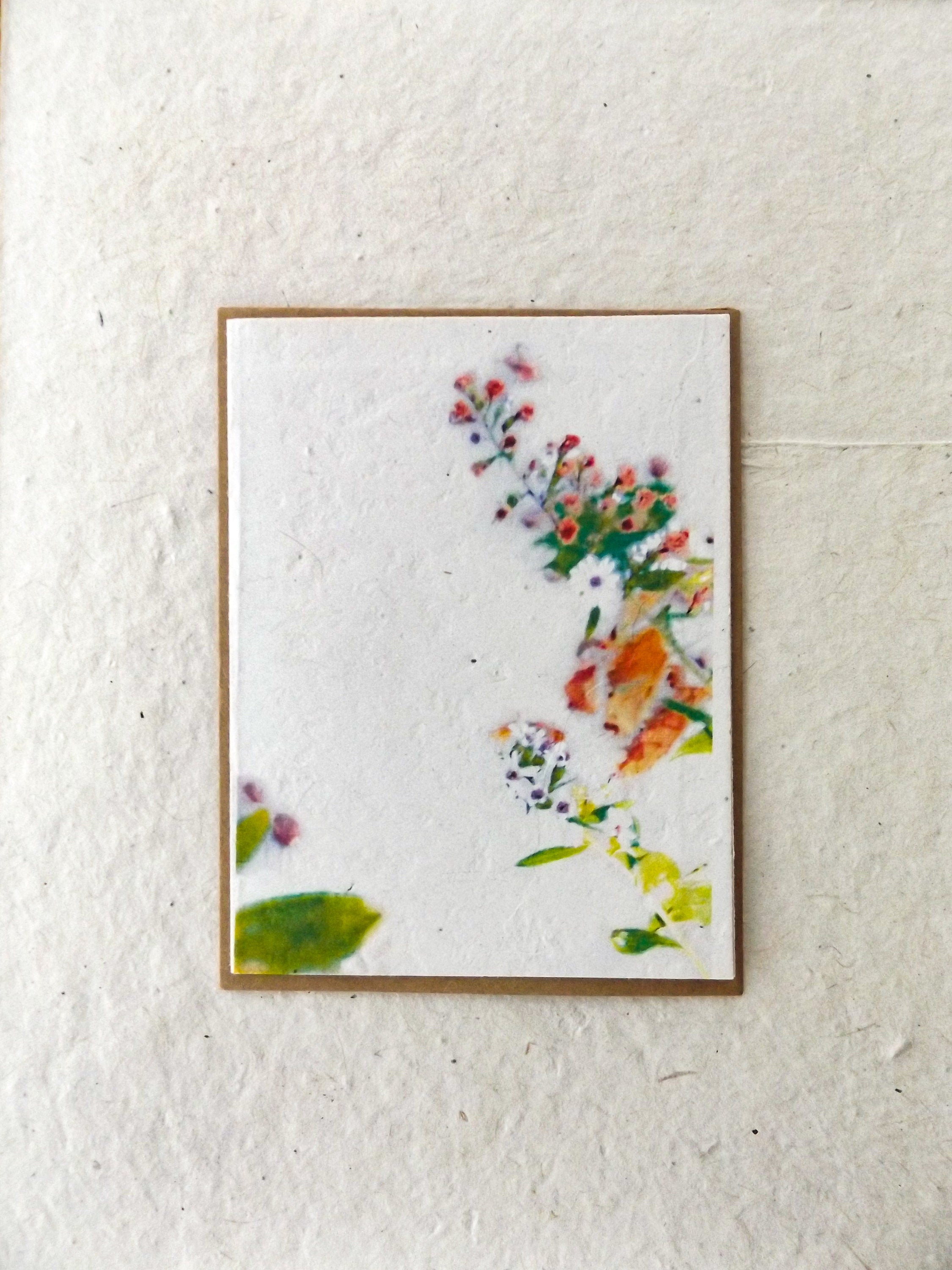 Seed Paper Cards || Blank Or Personalized Insert || Hand Drawn || Zero Waste || Supports Women || Eco-friendly