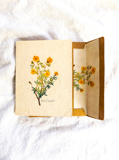 Seed Paper Cards || 6 pack With Envelopes Lined With Seed Paper || Hand Drawn || Zero Waste || Eco-friendly || Supports Women