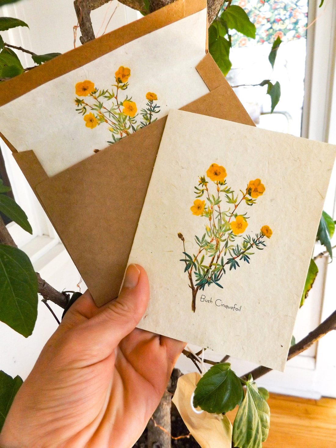 Seed Paper Cards || 6 pack With Envelopes Lined With Seed Paper || Hand Drawn || Zero Waste || Eco-friendly || Supports Women