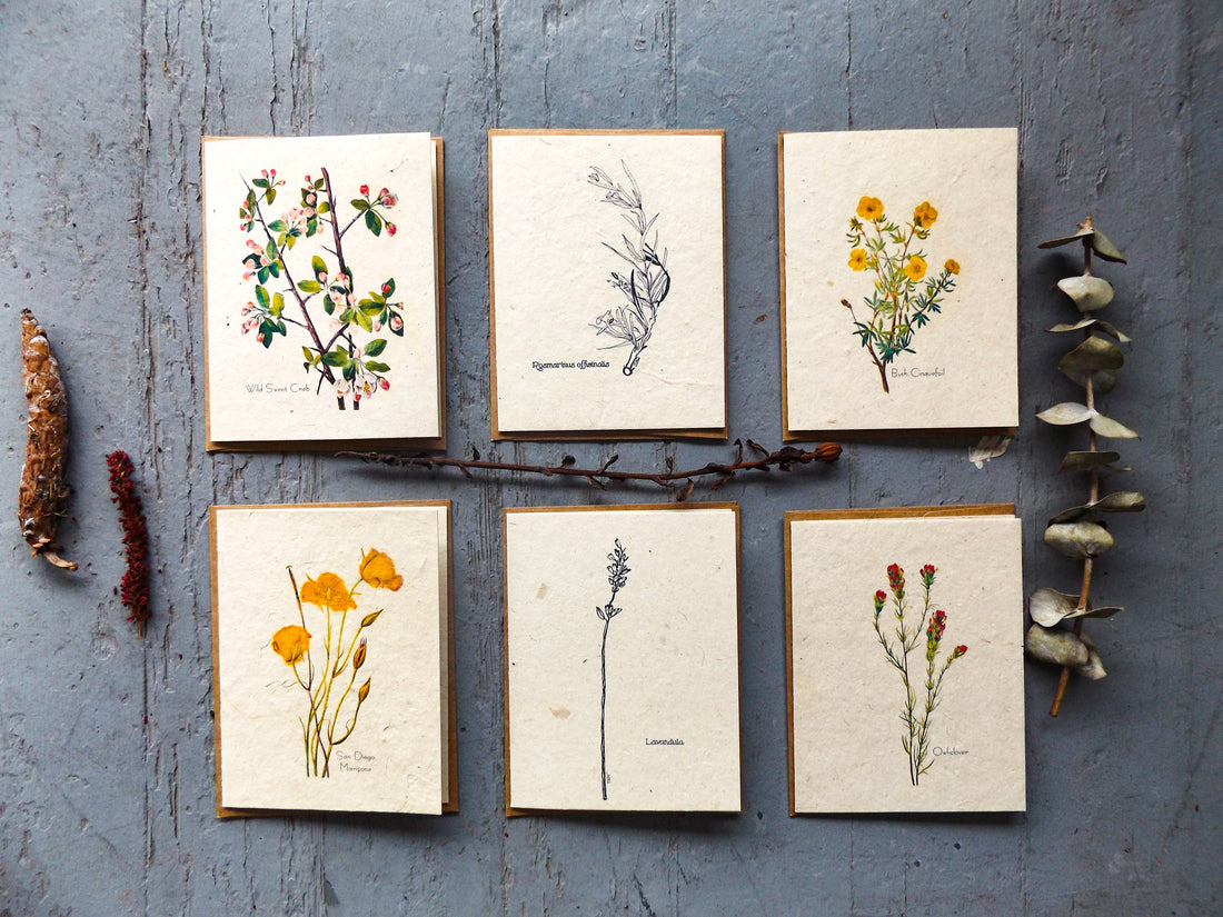 Plantable Seed Cards || Supports Women In Nepal || Wildflower Seed Paper || Eco-Friendly