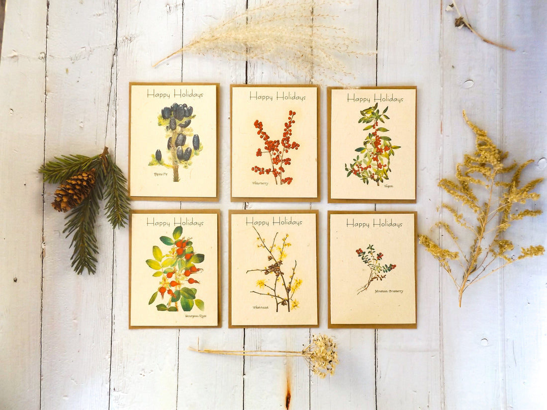 Holiday Plantable Seed Cards With Envelopes || Wildflower Seed Paper || Zero Waste Gift || Supports Women in Nepal || Eco-friendly || Value Pack-7