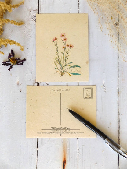 Vintage Inspired Postcards On Seed Paper || Wildflowers Will Grow || 6-pack of Postcards || Eco-friendly || Supports Women in Nepal