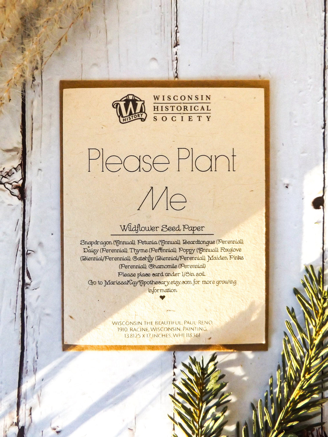 Seed Paper Wisconsin Conservancy Greeting Card || Portion Of Proceeds Go To The Wisconsin Historical Society || Eco-friendly || Supports Women in Nepal