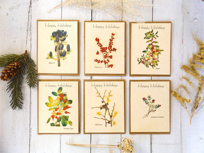 Holiday Plantable Seed Cards With Envelopes || Variety Pack(6) || Wildflower Seed Paper || Zero Waste Gift || Supports Women in Nepal || Eco-friendly