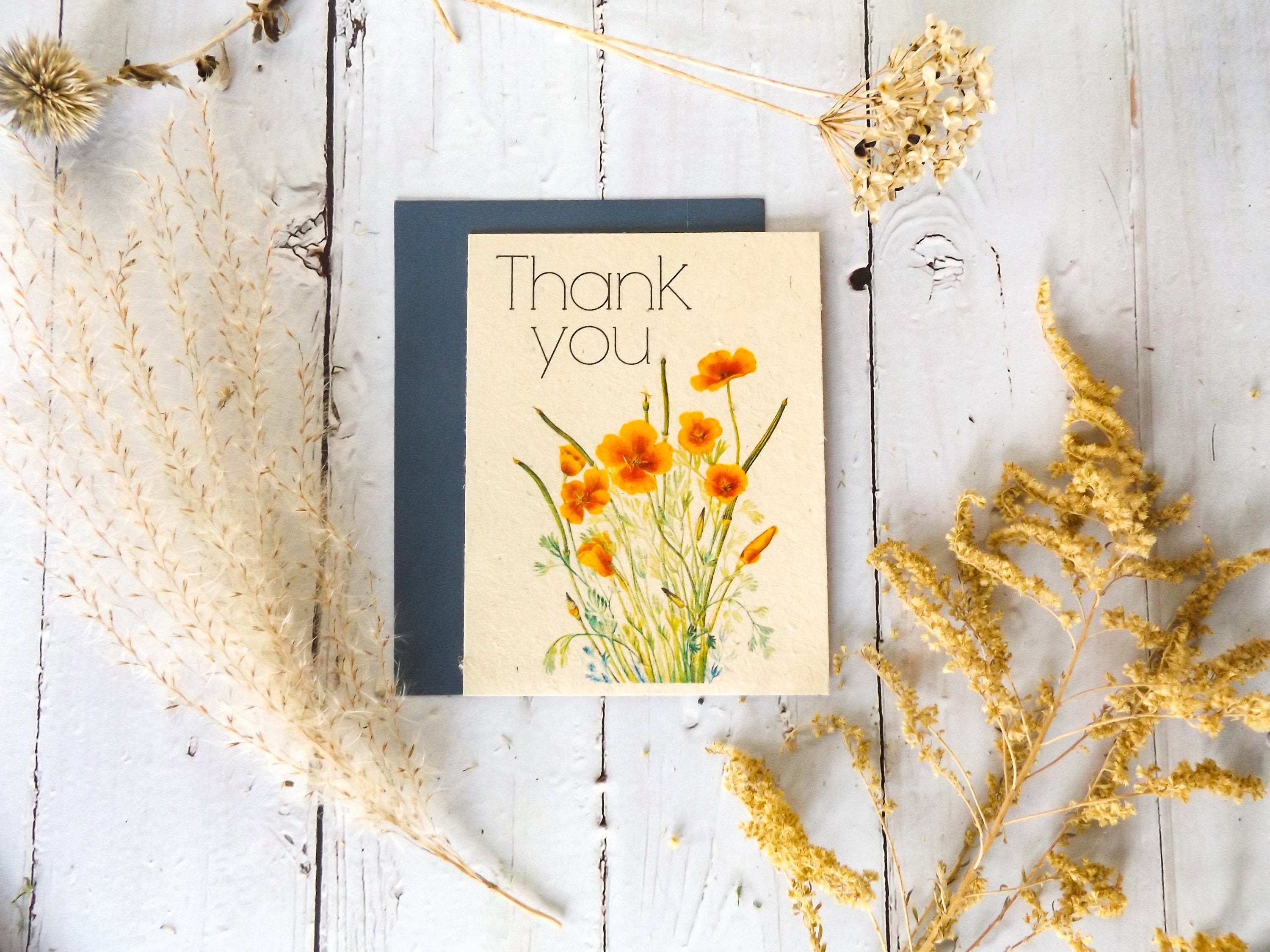 Plantable Vintage Thank You Cards || 6 pack Wildflower Seed Paper || Beyond Zero Waste || Mexican Poppy || Supports Women || Eco-friendly